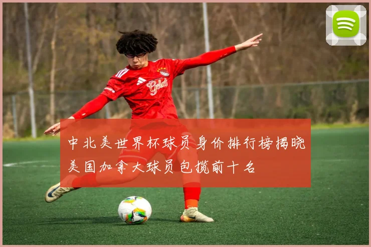 中北美世界杯球员身价排行榜揭晓美国加拿大球员包揽前十名